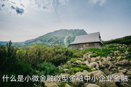 小微金融機(jī)構(gòu)是什么，GTN是干嘛的