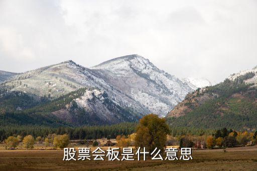 股票會(huì)板是什么意思