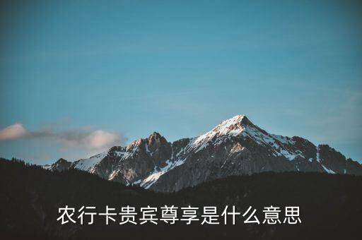 農(nóng)業(yè)銀行vip業(yè)務(wù)是什么意思，農(nóng)行卡貴賓尊享是什么意思