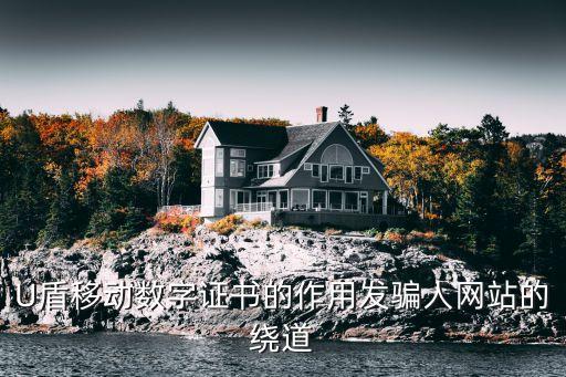 u盾證書有什么用，U盾移動(dòng)數(shù)字證書的作用發(fā)騙人網(wǎng)站的繞道