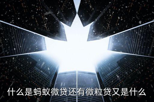 芝麻微貸是什么意思，什么是螞蟻微貸