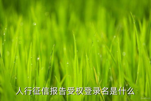 央行報告用戶名什么，央行信用報告用戶名格式怎么寫