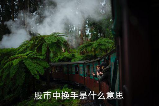 在股票中換手是指什么意思，股票換手是什么意思呀謝謝了