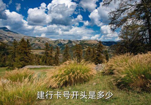 建行是什么開頭的，建設(shè)銀行的卡號是幾開頭