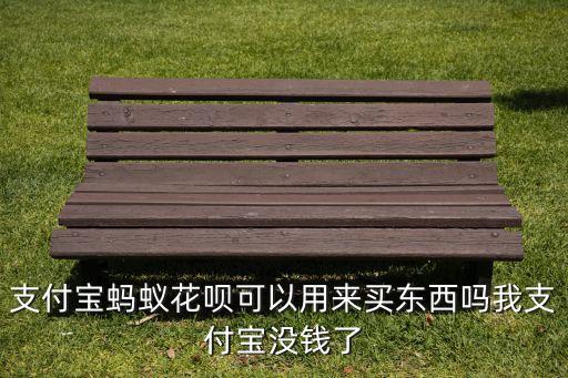 支付寶螞蟻花唄可以用來買東西嗎我支付寶沒錢了