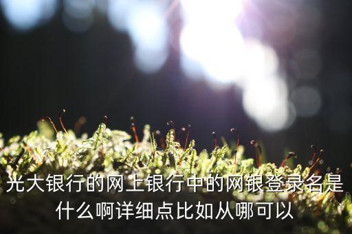 光大銀行登錄名是什么，光大銀行網(wǎng)上銀行登錄名或賬號是什么