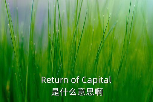 年回報(bào)率40什么意思，年化率10十35是什么意思是總共135