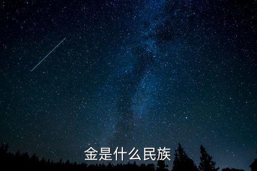 金是什么民族