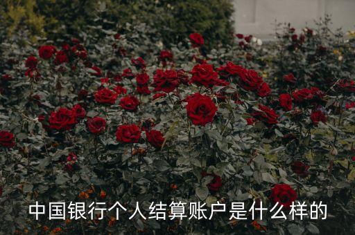 中國銀行個人結(jié)算賬戶是什么樣的