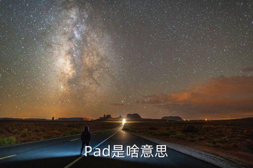 平安銀行pad端是什么意思，平安銀行信用卡pad端是什么