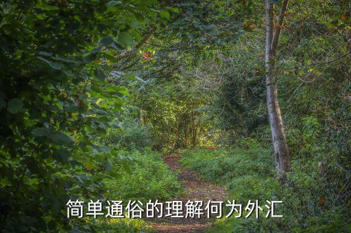外匯是什么通俗，簡(jiǎn)單通俗的理解何為外匯