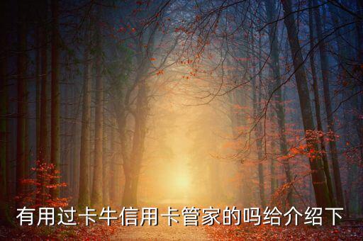 有用過卡牛信用卡管家的嗎給介紹下