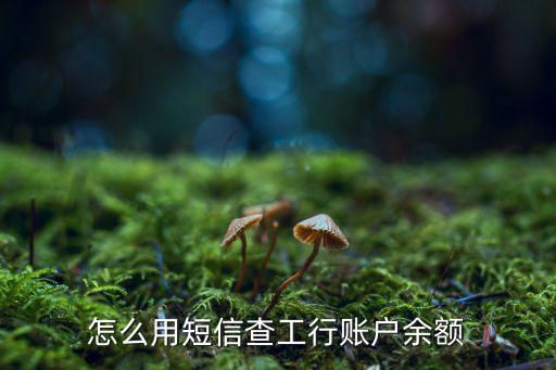 怎么用短信查工行賬戶余額