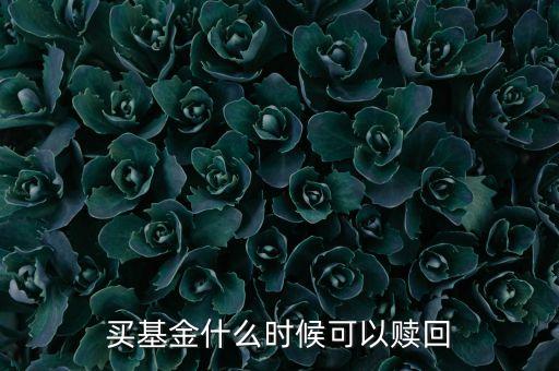 基金在什么時間贖回來，基金什么時候可以贖回