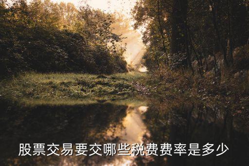 股票賣出收益交什么稅，企業(yè)股票出售需要繳納哪些稅款