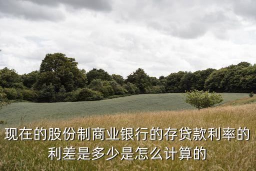 現(xiàn)在的股份制商業(yè)銀行的存貸款利率的利差是多少是怎么計(jì)算的