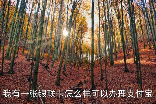 我有一張銀聯(lián)卡怎么樣可以辦理支付寶
