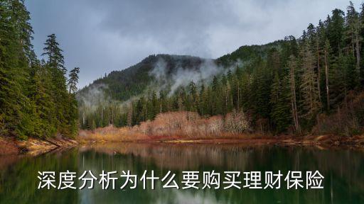 人為什么要買理財(cái)保險(xiǎn)，深度分析為什么要購(gòu)買理財(cái)保險(xiǎn)