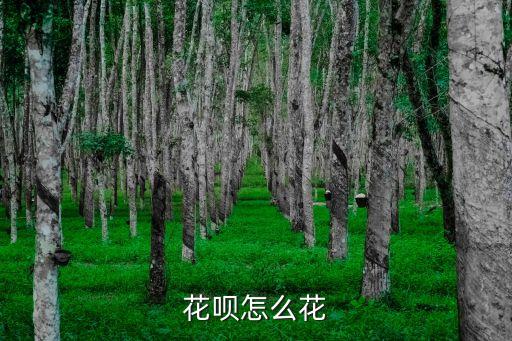 什么花唄支付方式，花唄怎么花
