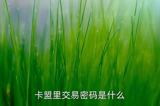 卡盟里交易密碼是什么