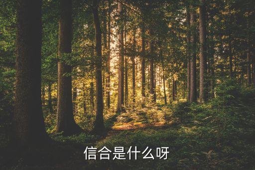 信合是什么呀