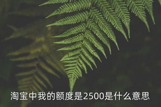 淘寶有額度是什么意思啊，淘寶上螞蟻花唄額度1500元是什么意思