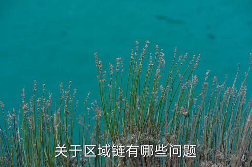 關(guān)于區(qū)域鏈有哪些問題