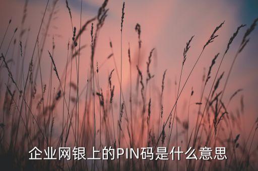 pin碼什么東西，PIN2碼是什麼