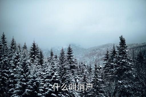 什么叫消戶