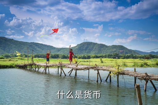 什么是貨幣
