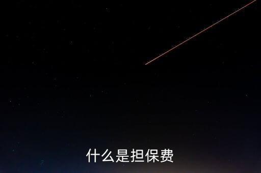什么是擔(dān)保費