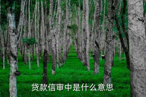 信審一般的依據(jù)是什么意思，什么是用信審核
