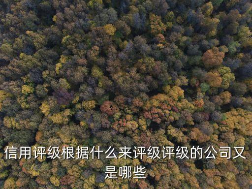 信用評(píng)級(jí)依據(jù)是什么，企業(yè)信用評(píng)級(jí)A級(jí)的標(biāo)準(zhǔn)是什么
