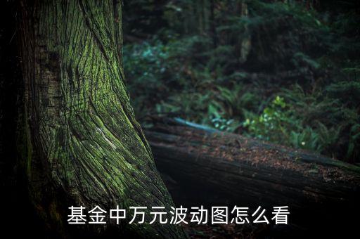 基金中萬元波動圖怎么看