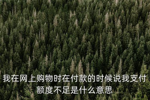 我在網上購物時在付款的時候說我支付額度不足是什么意思