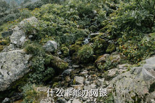 辦理網上銀行用什么卡，什么卡能辦網銀