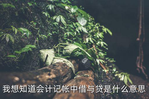 我想知道會計記帳中借與貸是什么意思