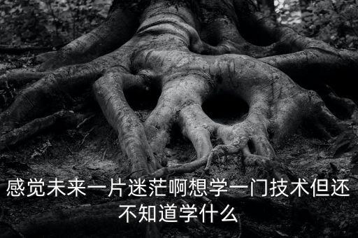 感覺未來一片迷茫啊想學(xué)一門技術(shù)但還不知道學(xué)什么