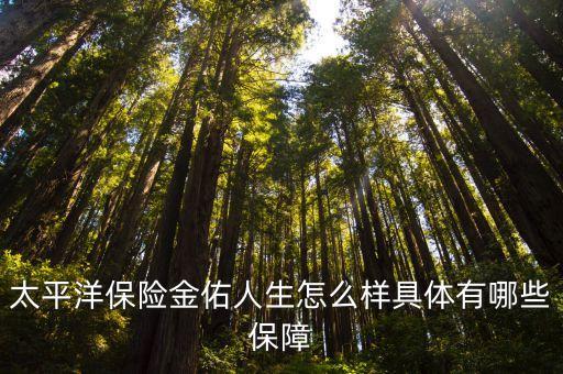 太平洋保險金佑人生怎么樣具體有哪些保障