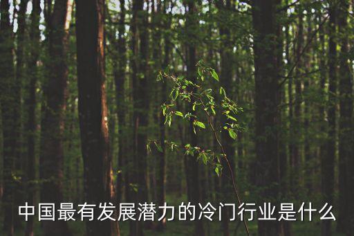 中國(guó)最有發(fā)展?jié)摿Φ睦溟T行業(yè)是什么
