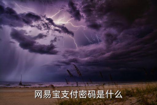 網(wǎng)易寶支付密碼是什么