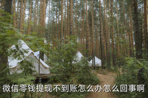 為什么零錢提現(xiàn)沒到賬怎么辦，微信提現(xiàn)怎么沒有到賬怎么回事 怎么處理