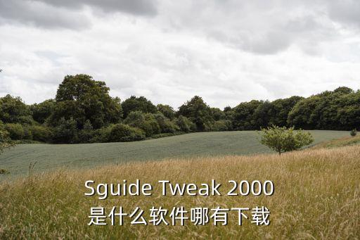 Sguide Tweak 2000是什么軟件哪有下載