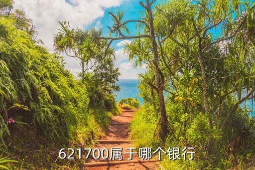 621700是什么借記卡，621700屬于哪個(gè)銀行
