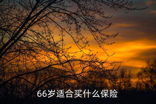 66歲適合買什么保險(xiǎn)