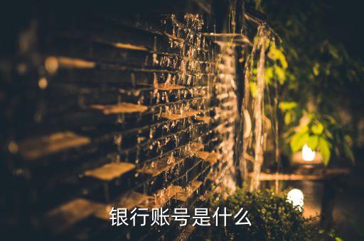 銀行賬號是什么