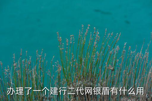 二代網(wǎng)銀盾有什么用，辦理了一個建行二代網(wǎng)銀盾有什么用