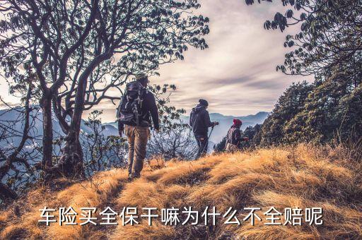 車險(xiǎn)買全保干嘛為什么不全賠呢