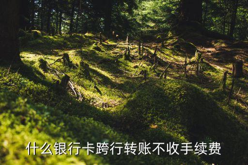 什么銀行卡跨行轉(zhuǎn)賬不收手續(xù)費(fèi)