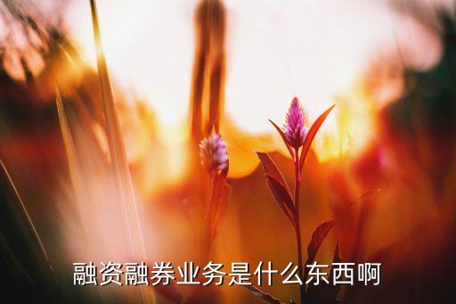 金鼎融資融券做什么的，融資融券是做些什么的可以通俗的來講一下嗎